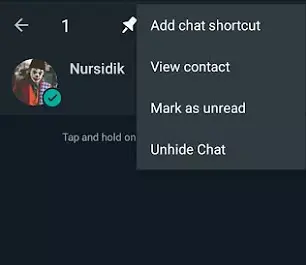 como mostrar o chat no whatsapp gb